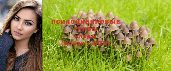 марихуана Баксан