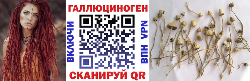 Псилоцибиновые грибы ЛСД Дальнегорск